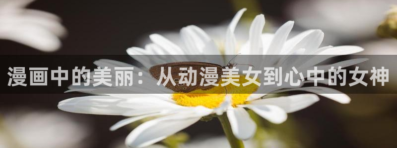番里动漫在线观看：漫画中的美丽：从动漫美女到心中的女神配图