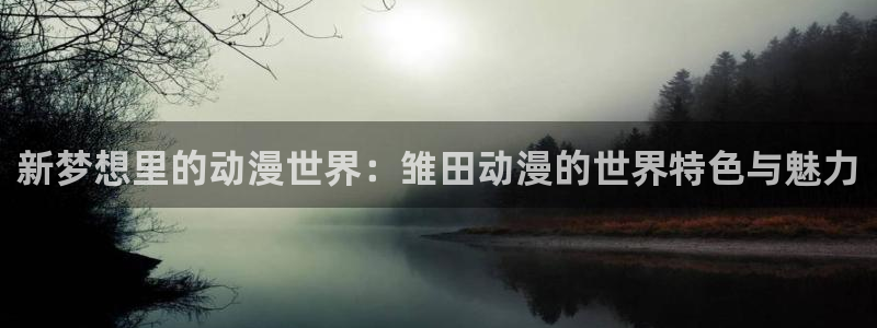 晚安动漫里番在线观看:新梦想里的动漫世界:雏田动漫的世界特色与魅力配图