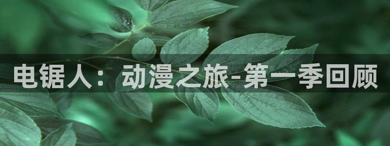 鬼父里番动漫在线观看：电锯人：动漫之旅-第一季回顾配图