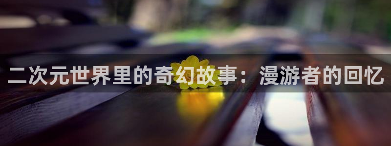 绅士里番动漫在线观看：二次元世界里的奇幻故事：漫游者的回忆配图
