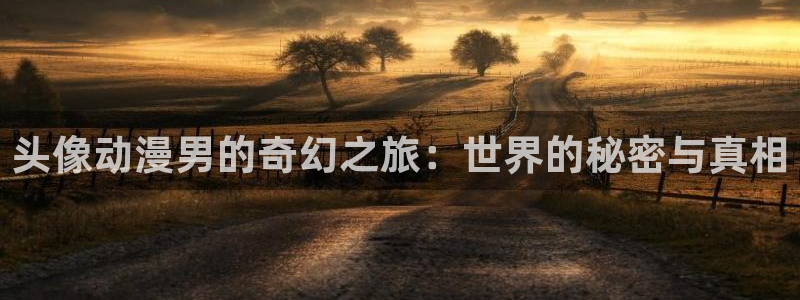 动漫番里在线观看：头像动漫男的奇幻之旅：世界的秘密与真相配图