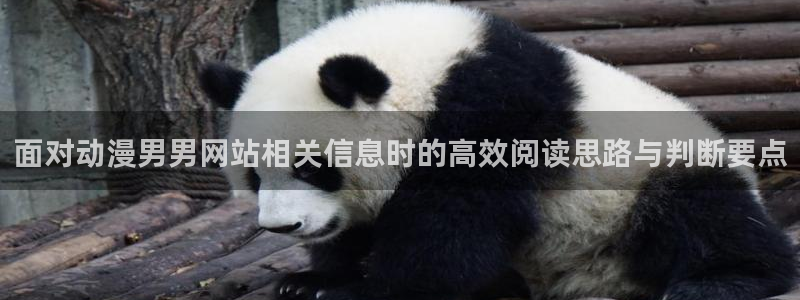 儿童里番动漫在线观看:面对动漫男男网站相关信息时的高效阅读思路与判断要点配图