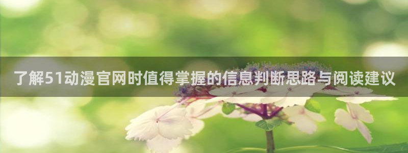 里番动漫在线观看网站:了解51动漫官网时值得掌握的信息判断思路与阅读建议配图