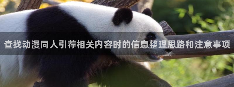 里番卡通动漫在线观看:查找动漫同人引荐相关内容时的信息整理思路和注意事项配图