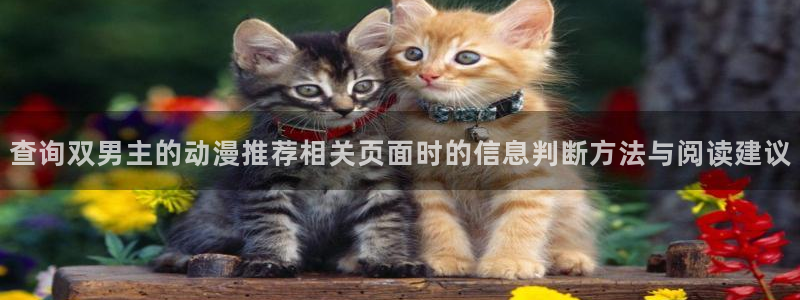 中国里番动漫在线观看:查询双男主的动漫推荐相关页面时的信息判断方法与阅读建议配图