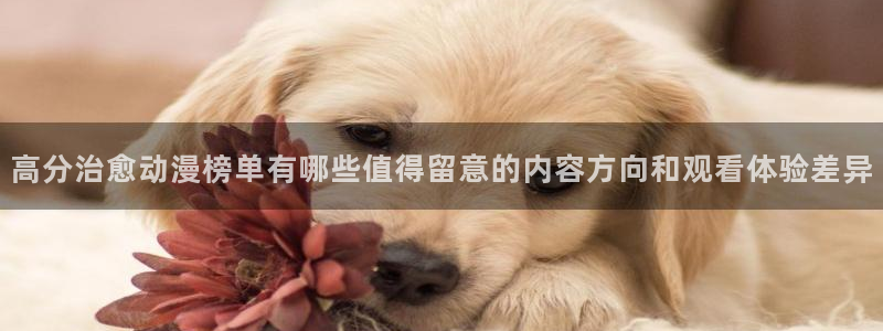 3动漫里番在线观看:高分治愈动漫榜单有哪些值得留意的内容方向和观看体验差异配图