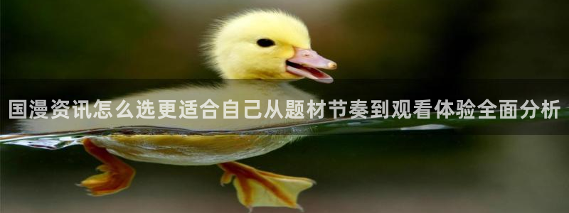 里番纲手在线观看动漫:国漫资讯怎么选更适合自己从题材节奏到观看体验全面分析配图