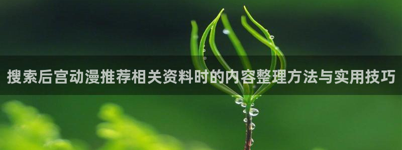 绅士里番动漫在线观看:搜索后宫动漫推荐相关资料时的内容整理方法与实用技巧配图